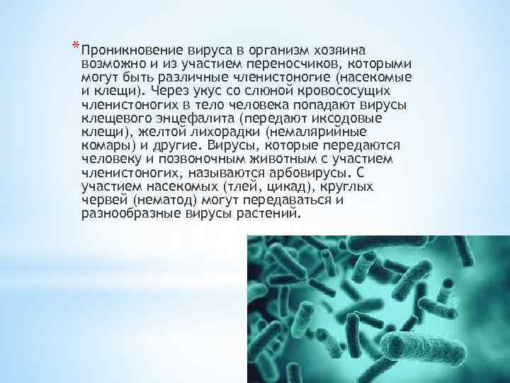 * Проникновение вируса в организм хозяина возможно и из участием переносчиков, которыми могут быть