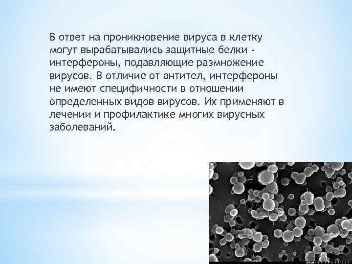 В ответ на проникновение вируса в клетку могут вырабатывались защитные белки интерфероны, подавляющие размножение