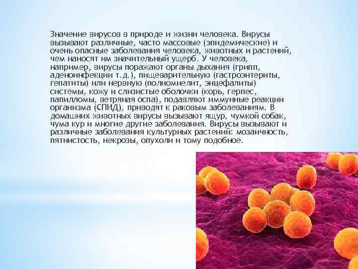 Значение вирусов в природе и жизни человека. Вирусы вызывают различные, часто массовые (эпидемические) и