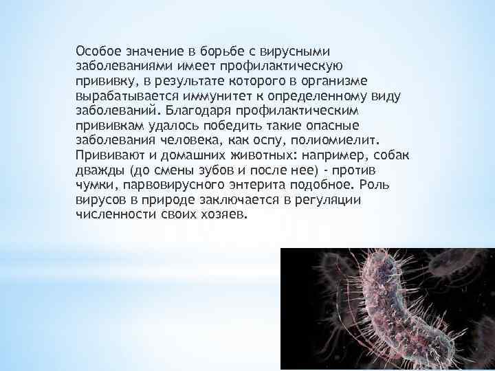 Особое значение в борьбе с вирусными заболеваниями имеет профилактическую прививку, в результате которого в