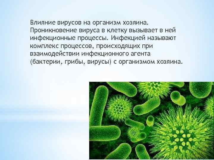 Влияние вирусов на организм хозяина. Проникновение вируса в клетку вызывает в ней инфекционные процессы.