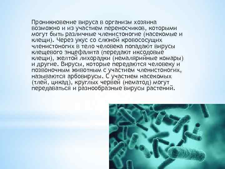 Проникновение вируса в организм хозяина возможно и из участием переносчиков, которыми могут быть различные