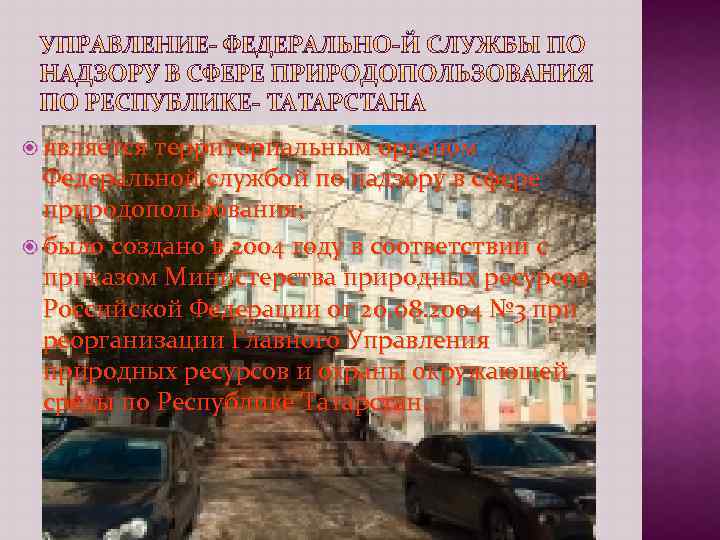  является территориальным органом Федеральной службой по надзору в сфере природопользования; было создано в