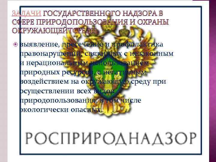  выявление, пресечение и профилактика правонарушений, связанных с незаконным и нерациональным использованием природных ресурсов,