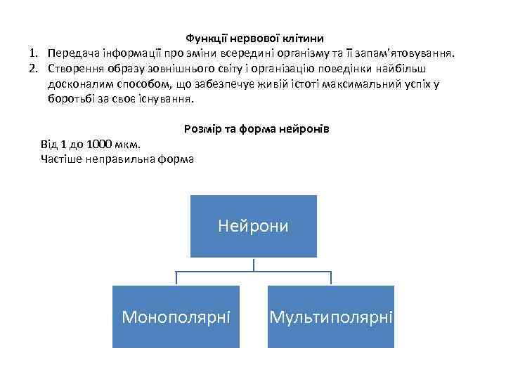 Функції нервової клітини 1. Передача інформації про зміни всередині організму та її запам’ятовування. 2.