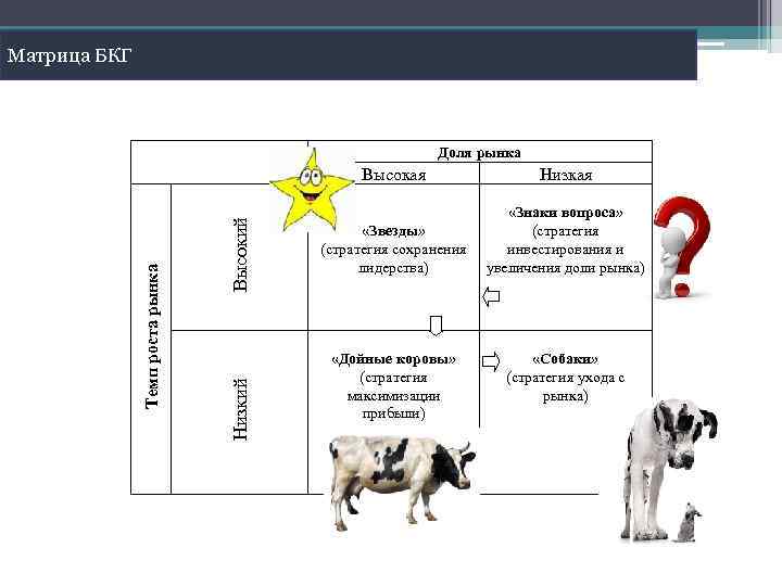 Презентация матрица бкг