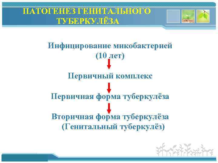 ПАТОГЕНЕЗ ГЕНИТАЛЬНОГО ТУБЕРКУЛЁЗА Инфицирование микобактерией (10 лет) Первичный комплекс Первичная форма туберкулёза Вторичная форма