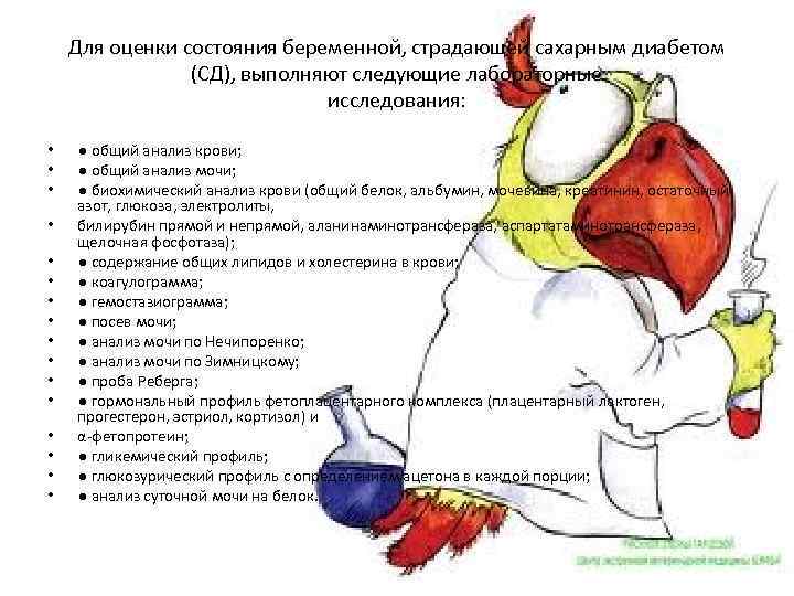 Для оценки состояния беременной, страдающей сахарным диабетом (СД), выполняют следующие лабораторные исследования: • •