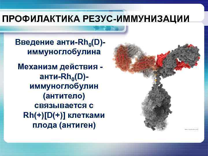 ПРОФИЛАКТИКА РЕЗУС-ИММУНИЗАЦИИ Введение анти-Rh 0(D)иммуноглобулина Механизм действия анти-Rh 0(D)иммуноглобулин (антитело) связывается с Rh(+)[D(+)] клетками