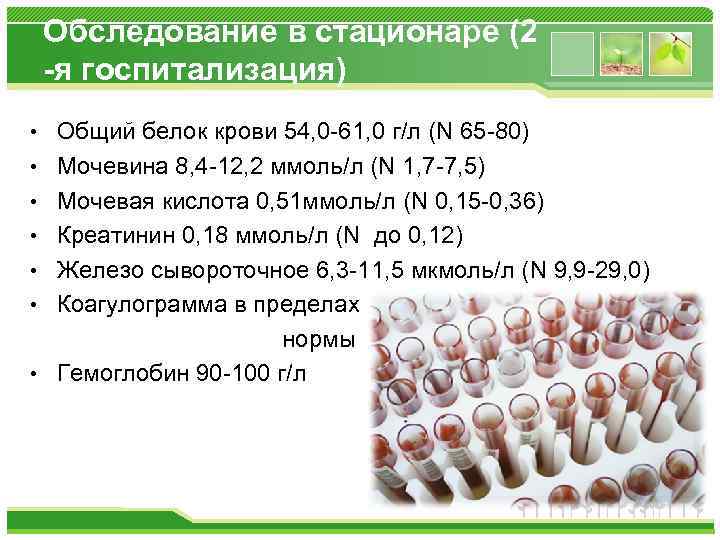 Обследование в стационаре (2 -я госпитализация) • Общий белок крови 54, 0 -61, 0