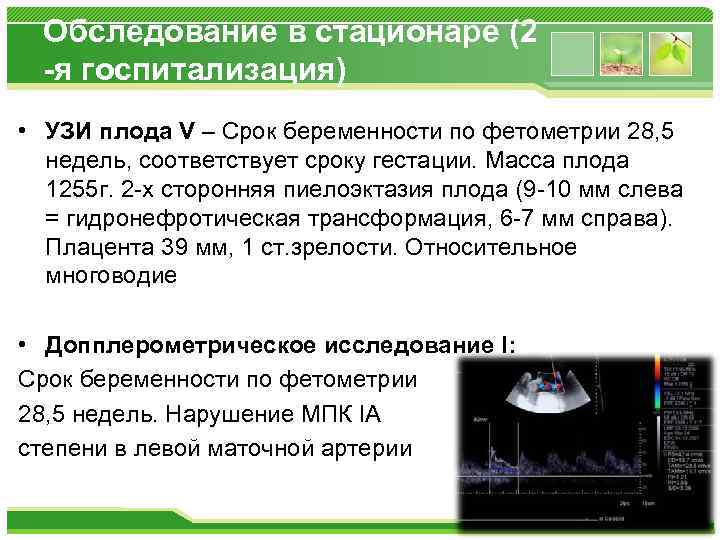 Обследование в стационаре (2 -я госпитализация) • УЗИ плода V – Срок беременности по