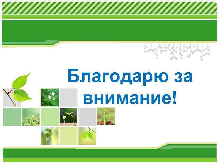 Благодарю за внимание! 