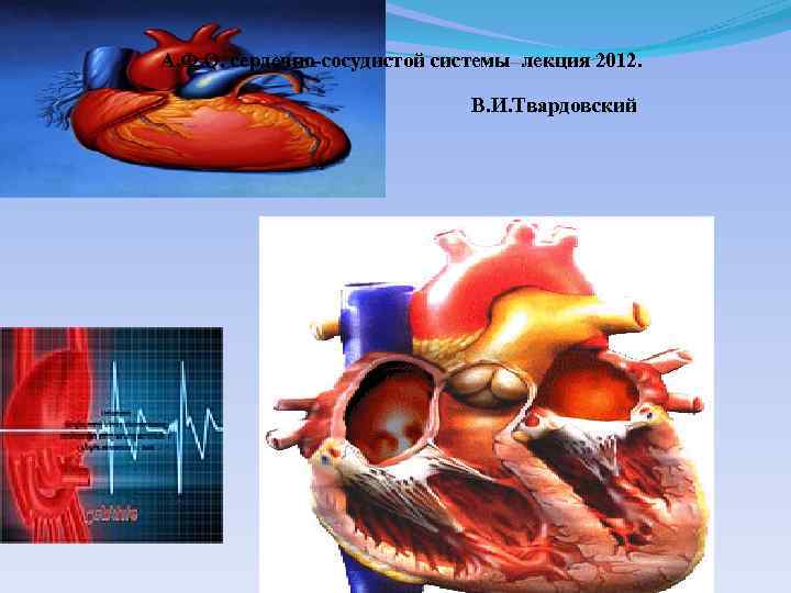  А. Ф. О. сердечно-сосудистой системы лекция 2012. В. И. Твардовский 