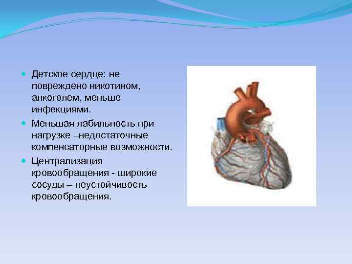  Детское сердце: не повреждено никотином, алкоголем, меньше инфекциями. Меньшая лабильность при нагрузке –недостаточные