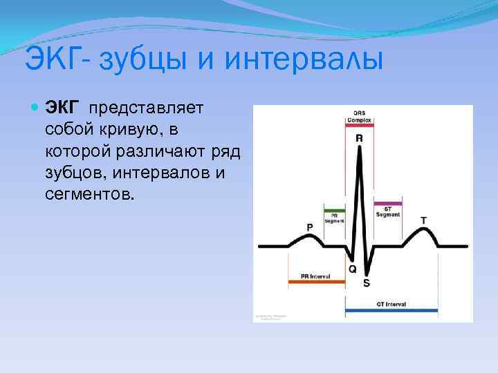 Зубцы экг. ЭКГ зубцы и интервалы. Длительность зубцов и интервалов ЭКГ. ЭКГ схема зубцы интервалы. Кривая ЭКГ зубцы сегменты интервалы.