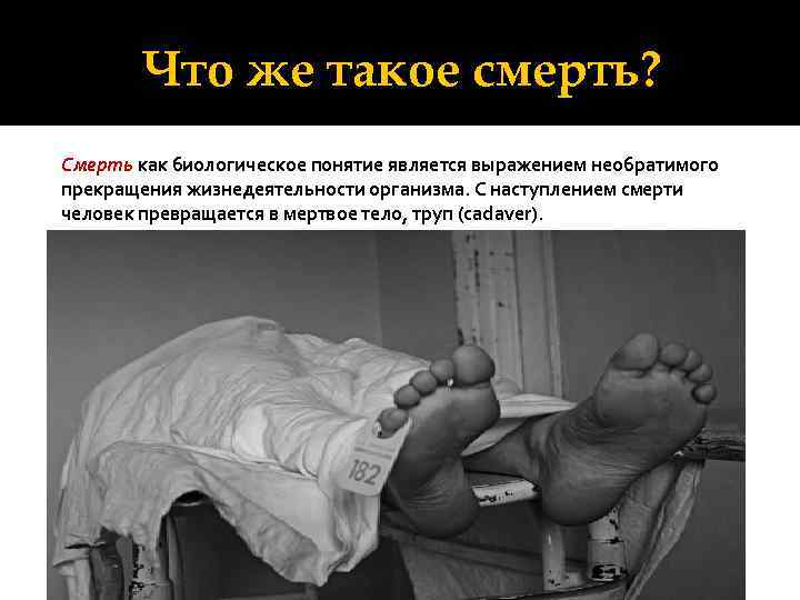 Что же такое смерть? Смерть как биологическое понятие является выражением необратимого прекращения жизнедеятельности организма.