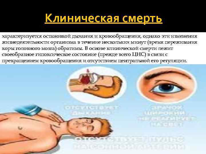 Клиническая смерть характеризуется остановкой дыхания и кровообращения, однако эти изменения жизнедеятельности организма в течение