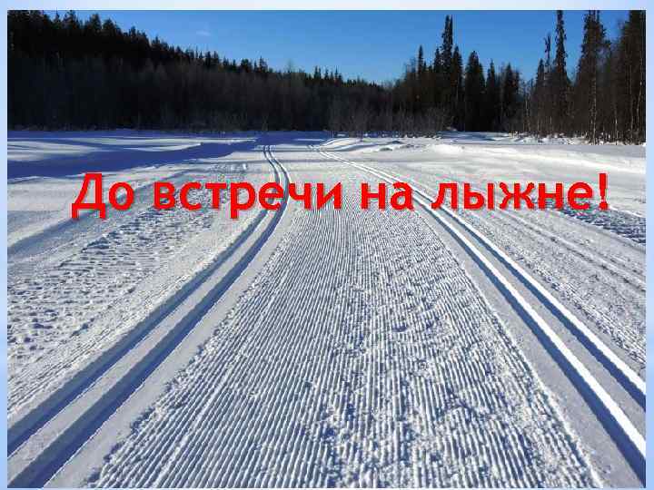До встречи на лыжне! 