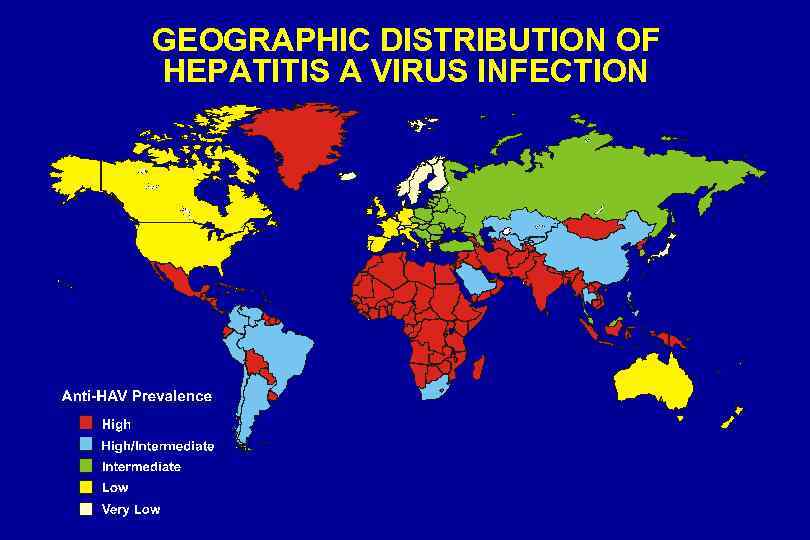 GEOGRAPHIC DISTRIBUTION OF HEPATITIS A VIRUS INFECTION 