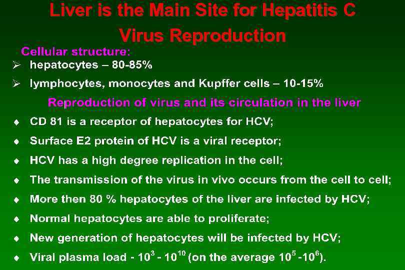 Liver is the Main Site for Hepatitis С Virus Reproduction 