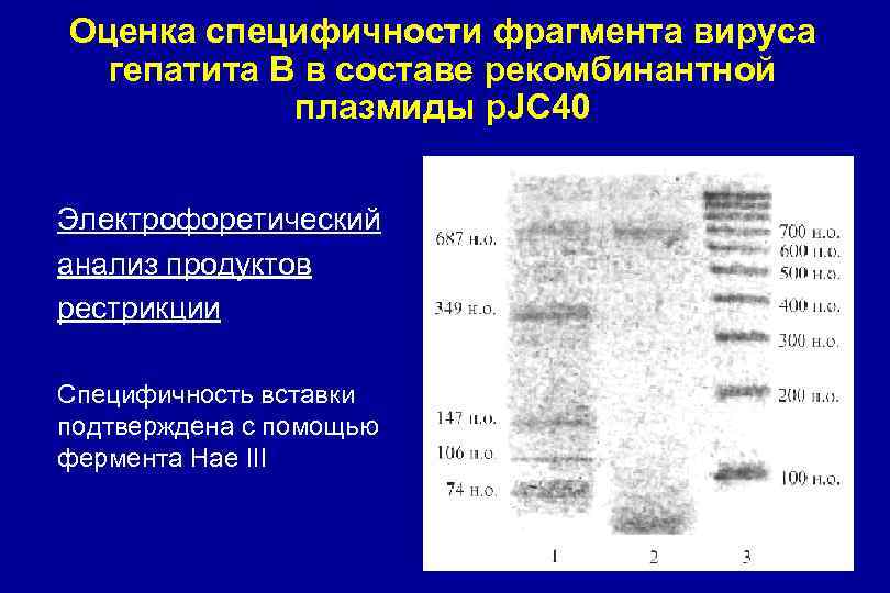 Оценка специфичности фрагмента вируса гепатита В в составе рекомбинантной плазмиды p. JC 40 Электрофоретический