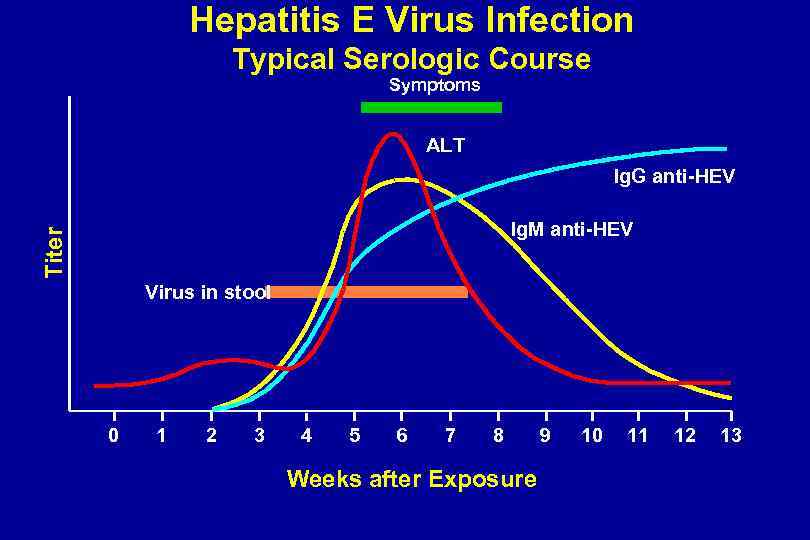 Hepatitis E Virus Infection Typical Serologic Course Symptoms ALT Ig. G anti-HEV Titer Ig.