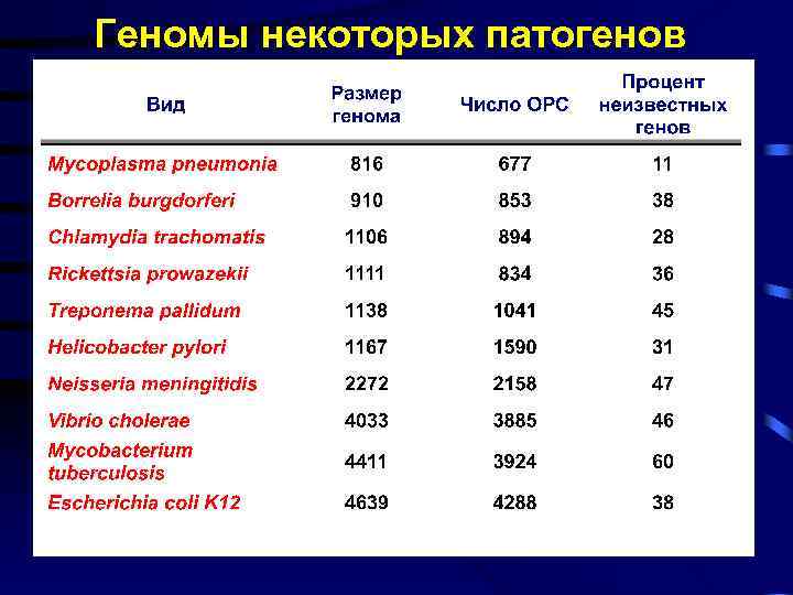 Геномы некоторых патогенов 