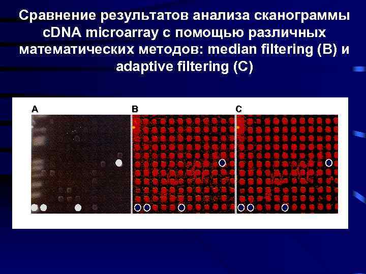 Сравнение результатов анализа сканограммы c. DNA microarray с помощью различных математических методов: median filtering