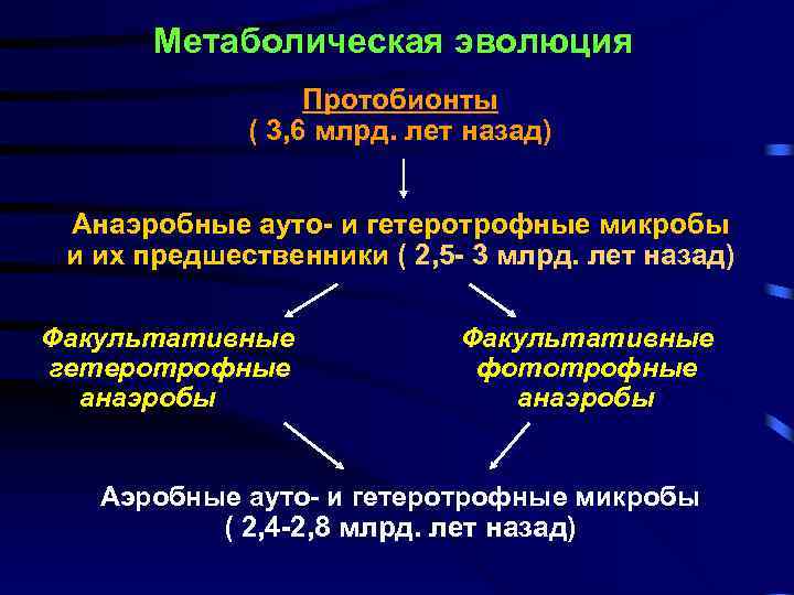 Метаболическая эволюция Протобионты ( 3, 6 млрд. лет назад) Анаэробные ауто- и гетеротрофные микробы