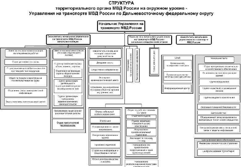 Проектные предложения по совершенствованию организационной структуры УТ МВД России по ДФО 9 