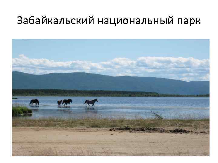Забайкальский национальный парк 