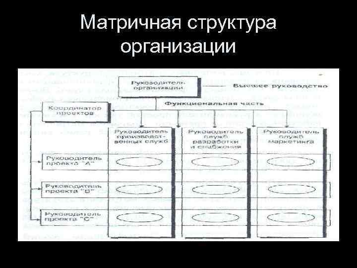 Матричная структура организации 