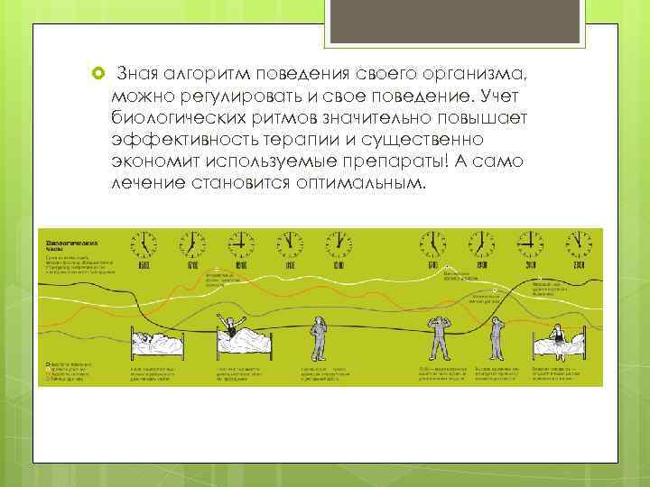  Зная алгоритм поведения своего организма, можно регулировать и свое поведение. Учет биологических ритмов