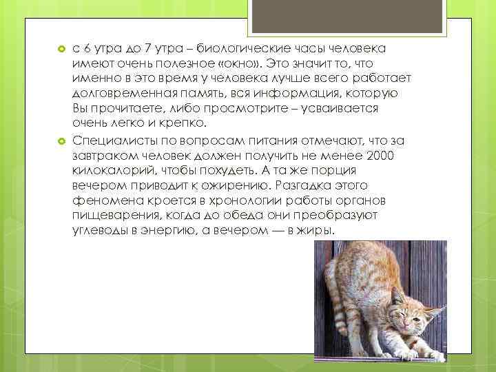  с 6 утра до 7 утра – биологические часы человека имеют очень полезное