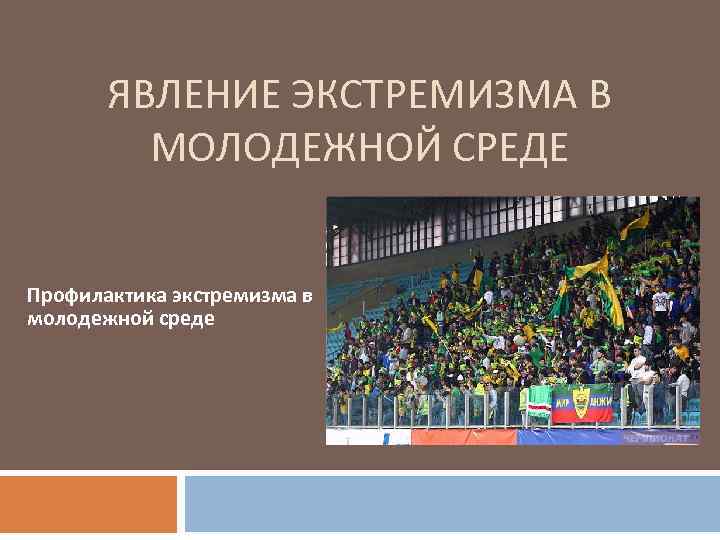 ЯВЛЕНИЕ ЭКСТРЕМИЗМА В МОЛОДЕЖНОЙ СРЕДЕ Профилактика экстремизма в молодежной среде 