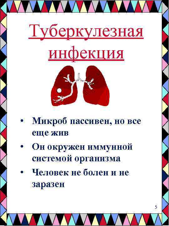 Туберкулезная инфекция • Микроб пассивен, но все еще жив • Он окружен иммунной системой