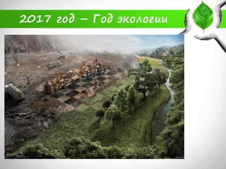 2017 год – Год экологии 