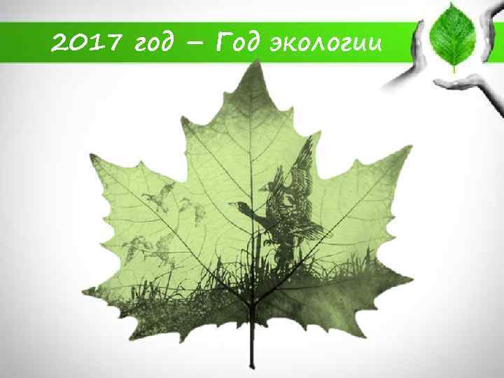 2017 год – Год экологии 