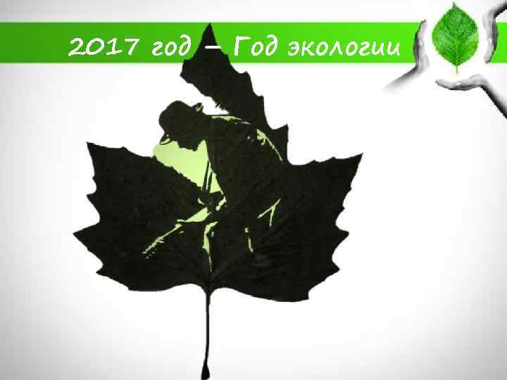 2017 год – Год экологии 