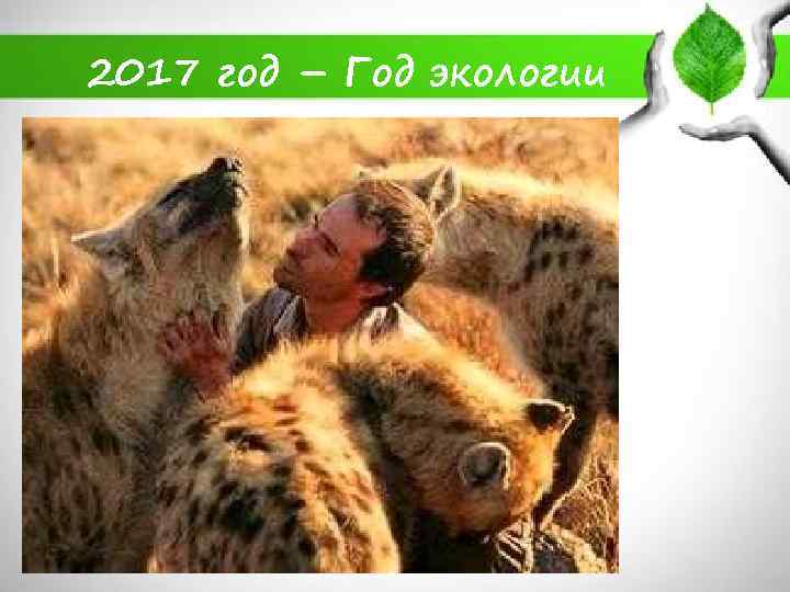 2017 год – Год экологии 