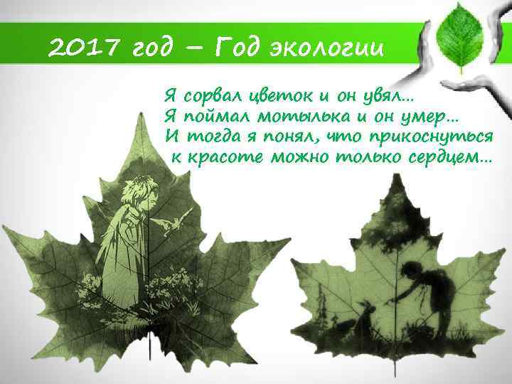2017 год – Год экологии Я сорвал цветок и он увял… Я поймал мотылька