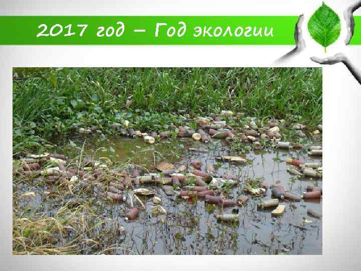 2017 год – Год экологии 
