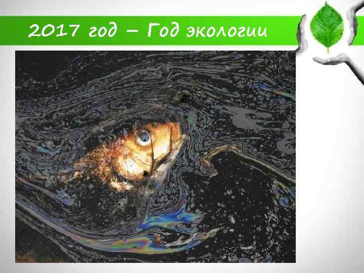 2017 год – Год экологии 