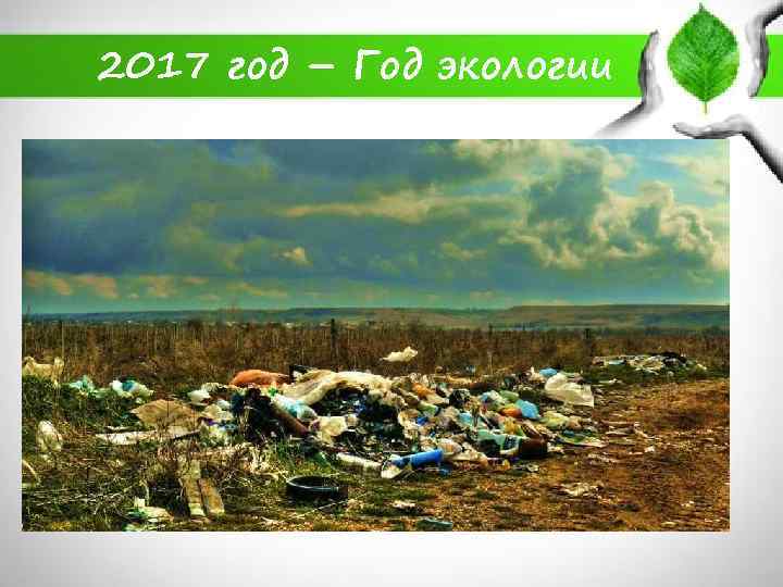 2017 год – Год экологии 