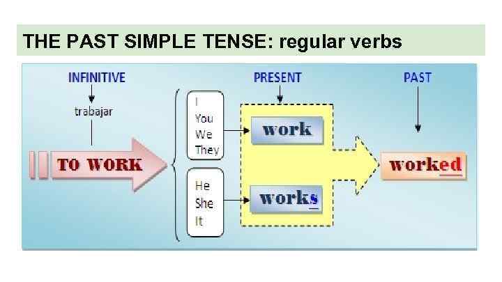 THE PAST SIMPLE TENSE: regular verbs 