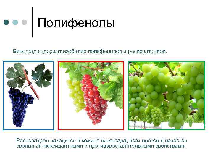 Полифенолы Виноград содержит изобилие полифенолов и ресвератролов. Ресвератрол находится в кожице винограда, всех цветов