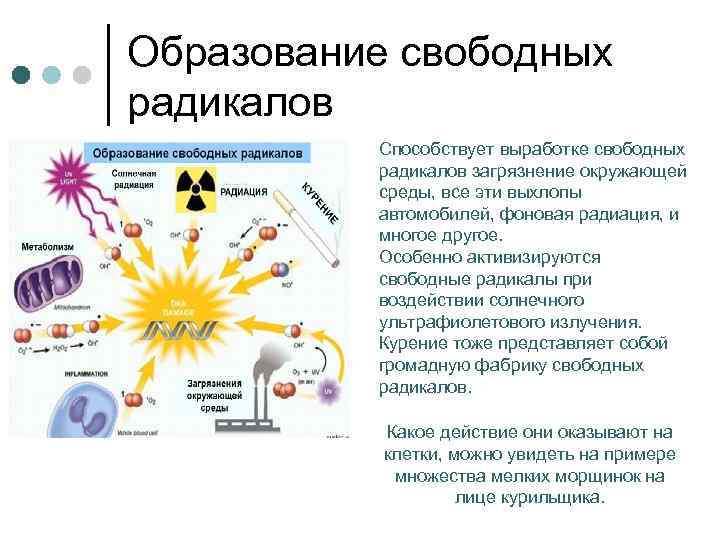 Свободные радикалы презентация