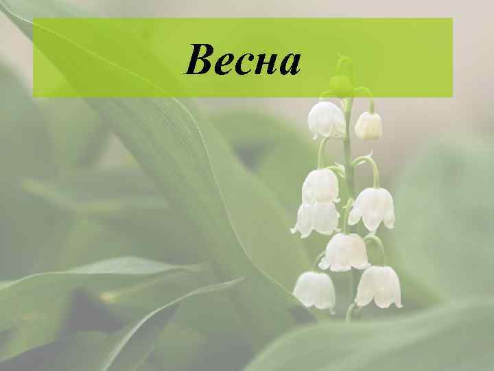 Весна 