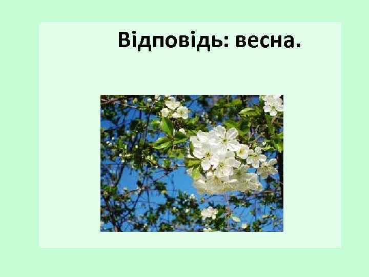 Відповідь: весна. 