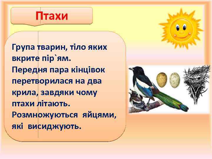 Птахи Група тварин, тіло яких вкрите пір`ям. Передня пара кінцівок перетворилася на два крила,